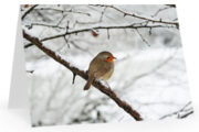 christmas voucher card
