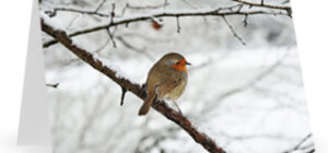 christmas voucher card