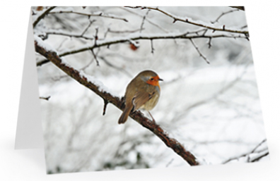 christmas voucher card